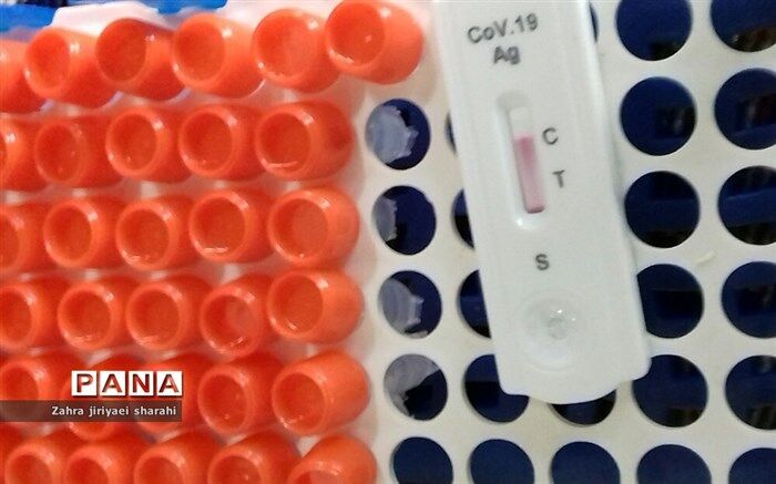 انجام بیش از ۱۹ هزار تست pcr در مبادی مرزی کشور