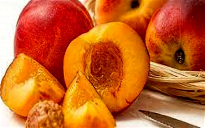 خطرات مرگبار زیاده‌روی در مصرف هلو