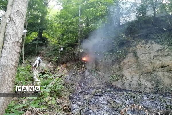 آتش سوزی در جنگل های توسکا چشمه گلوگاه مازندران