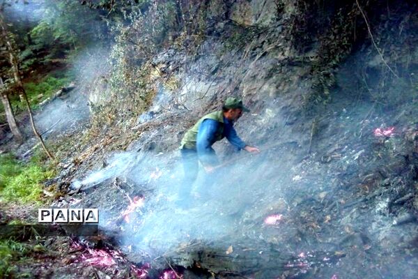 آتش سوزی در جنگل های توسکا چشمه گلوگاه مازندران