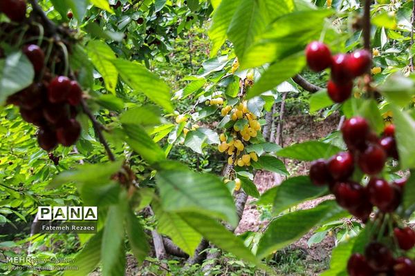 روستای تفریحی گردشگری شیت