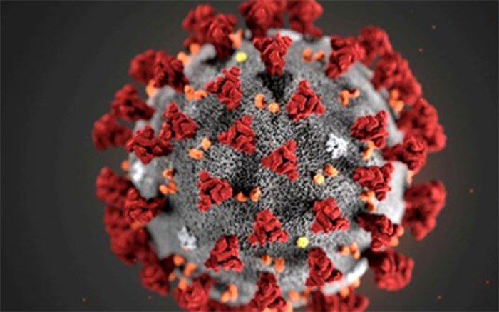 بستری 281 بیمار در بخش‌های کرونایی در بیمارستان‌های استان بوشهر