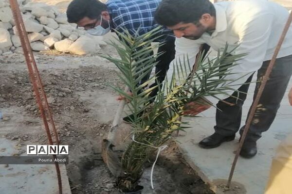 کاشت درخت به مناسبت روز دختر بیاد فاطمه خضری مقدم در روستای احمد آباد