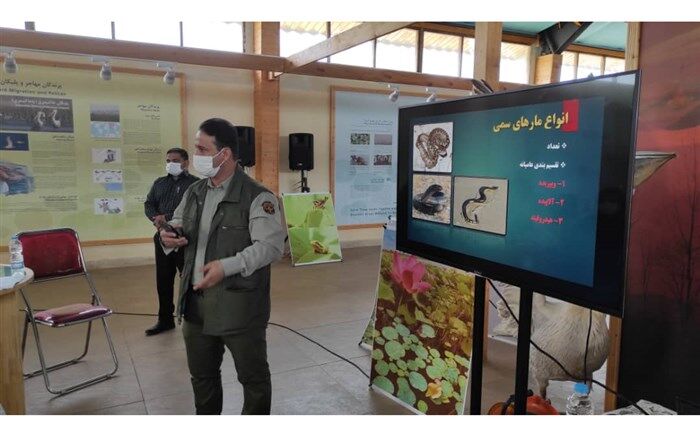 کارگاه آموزشی شناسایی مار‌های بومی و سمی در بندر انزلی برگزار شد