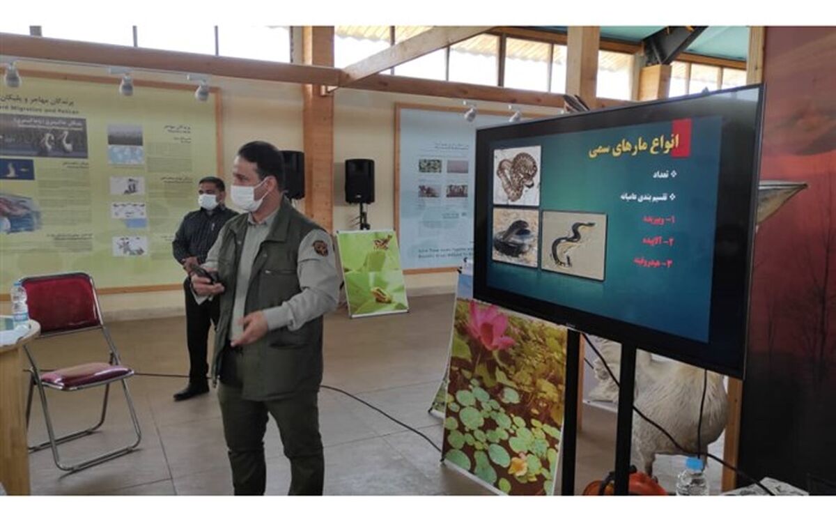 کارگاه آموزشی شناسایی مار‌های بومی و سمی در بندر انزلی برگزار شد