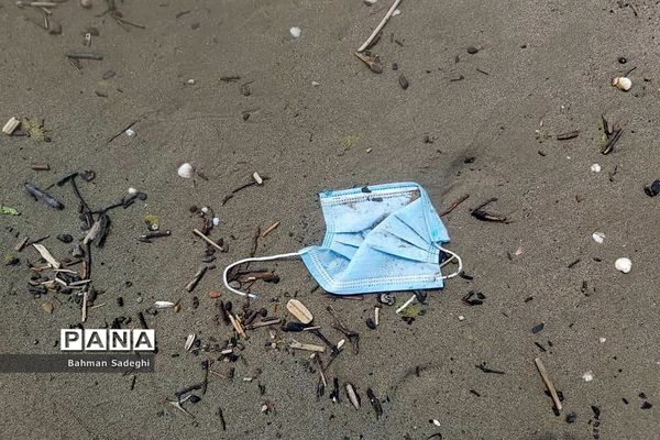 جامانده در ساحل