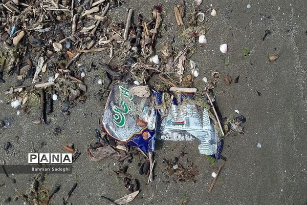 جامانده در ساحل