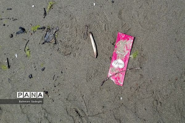 جامانده در ساحل