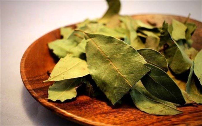 فواید برگ بو برای زیبایی پوست و مو