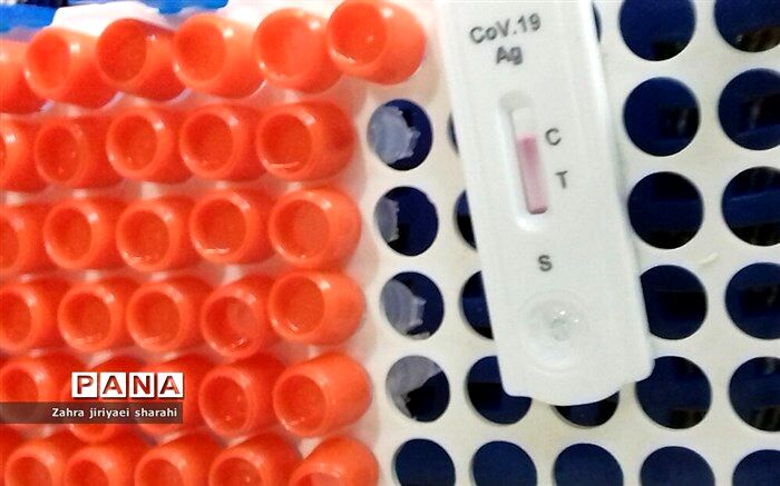 انجام بیش از ۲۷ هزار تست pcr در مبادی مرزی کشور