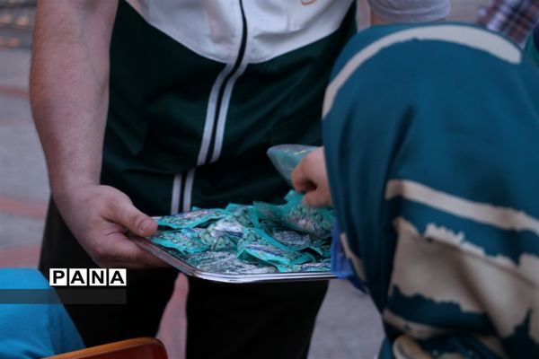 کاروان شادی با هدف شور انتخاباتی رای اولی‌ها