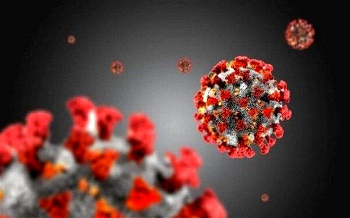 ۱۹۷بیمار مبتلا به ویروس کووید۱۹ در بیمارستانهای استان بستری هستند