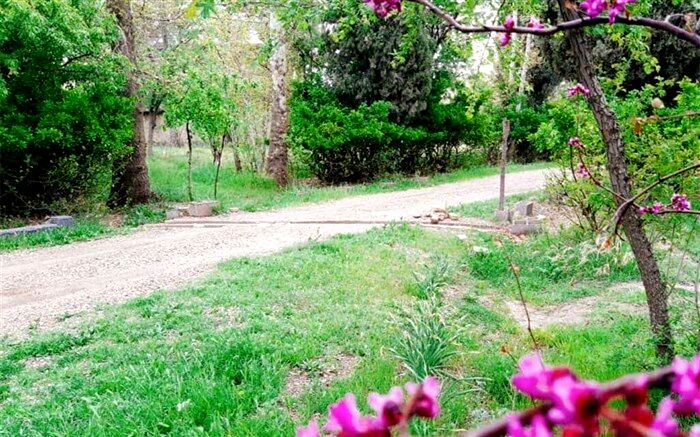 تعدادی از پرونده‌های پلاک ثبتی پایتخت رای باغ گرفتند