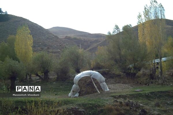 طبیعت زیبای روستای هویر شهرستان دماوند