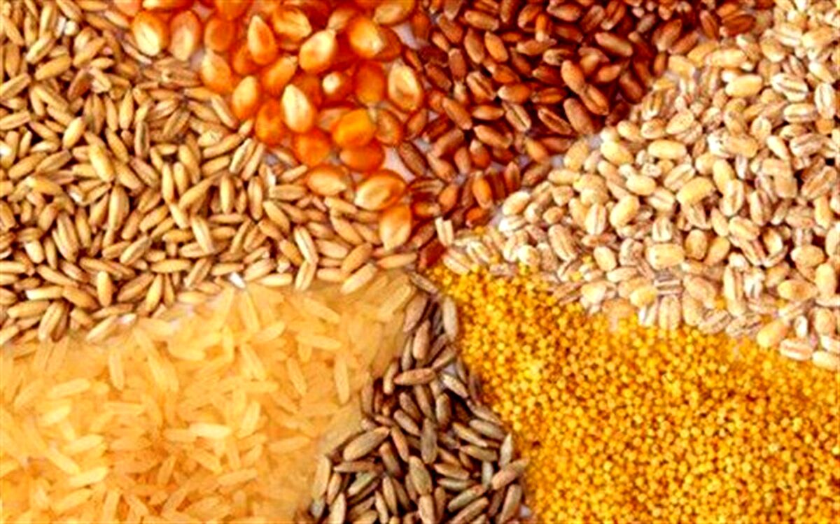 دلیل رسوب کالاهای اساسی در گمرکات چیست؟