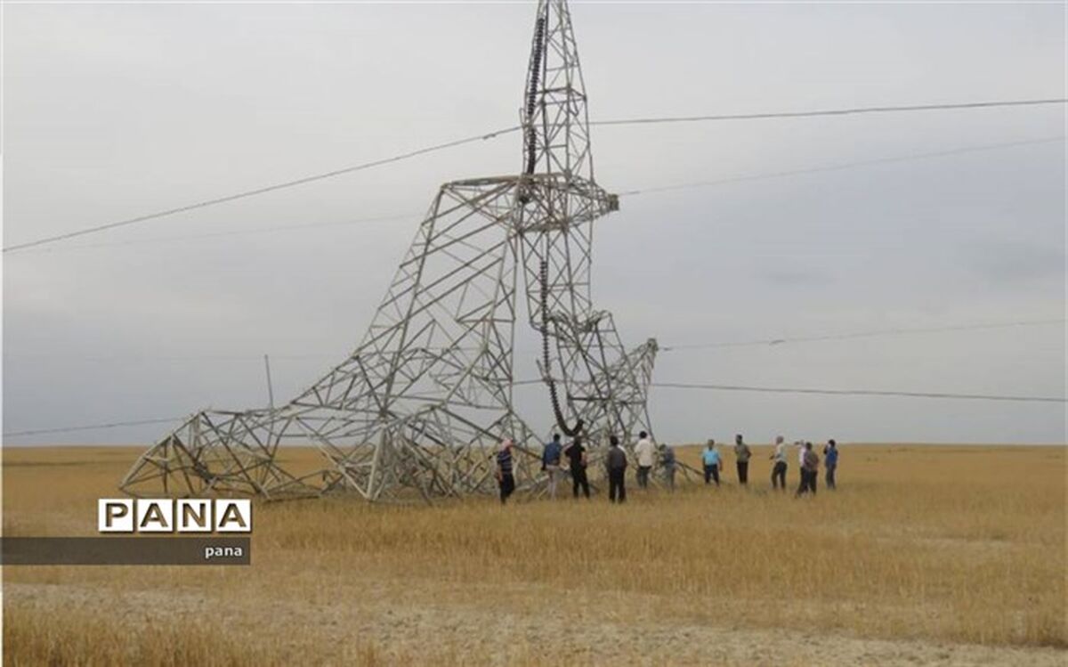 نیکزاد: سرمایه‌گذاری خارجی، راهکار توسعه برق هسته‌ای است