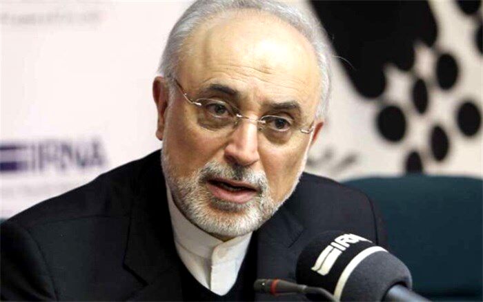 تامین مالی عامل کندی تکمیل نیروگاه‌های ۲ و ۳ بوشهر است
