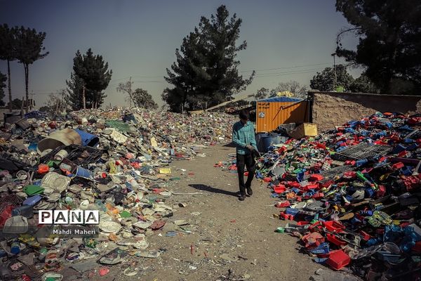جایی میان زباله‌ها