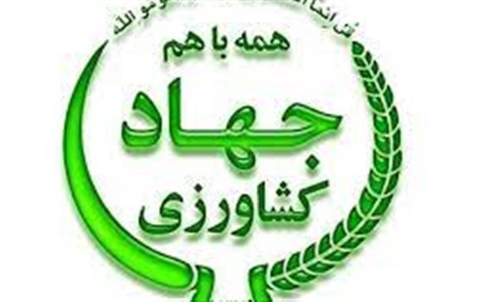 تولید 118 هزار تن محصول کشاورزی در شمال غرب کشور