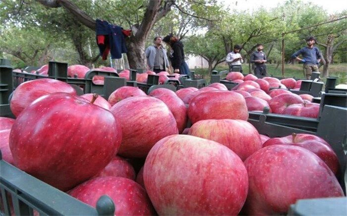 ضرورت احداث جایگاه‌های سوخت ماشین آلات کشاورزی در روستاها