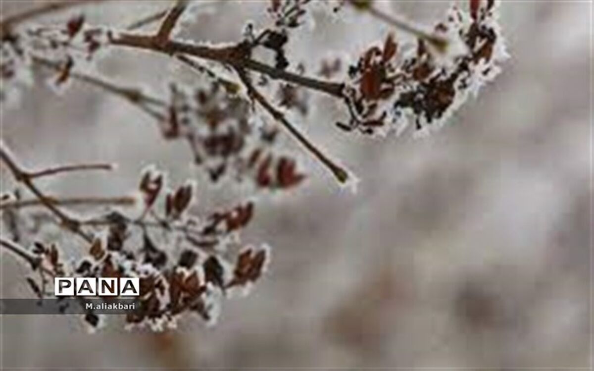 بیرجند دومین مرکز استان سرد کشور