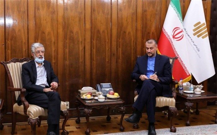 تاکید حدادعادل و امیرعبداللهیان بر گسترش زبان فارسی در خارج از کشور