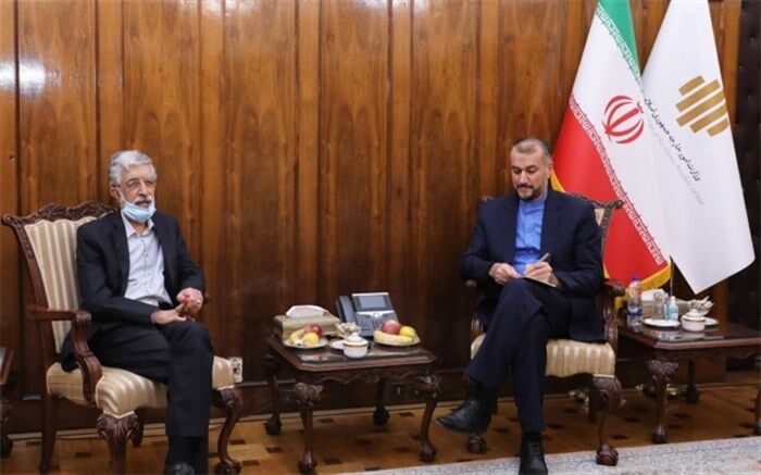 تاکید حدادعادل و امیرعبداللهیان بر گسترش زبان فارسی در خارج از کشور