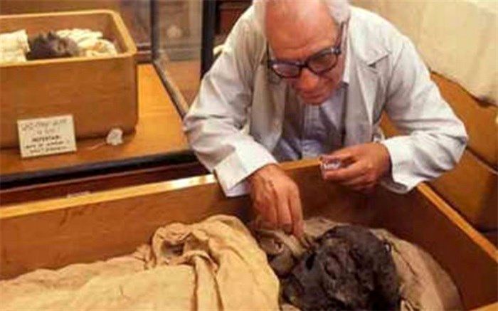 اطلاعاتی عجیب از قدمت مومیایی‌کردن اجساد