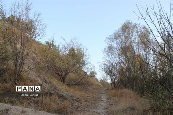 طبیعت پاییزی روستای کهک شهرستان غرق‌آباد