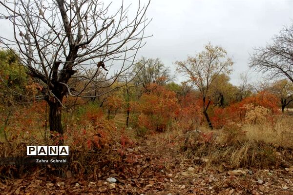 طبیعت پاییزی روستای کهک شهرستان غرق‌آباد
