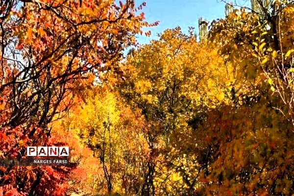 طبیعت پاییزی در روستاهای الگان و کهندان
