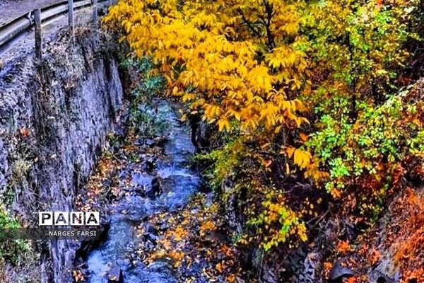 طبیعت پاییزی در روستاهای الگان و کهندان