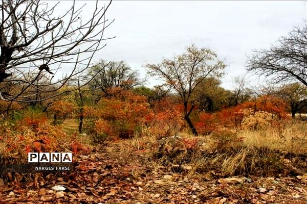 طبیعت پاییزی در روستاهای الگان و کهندان