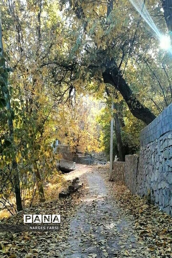طبیعت پاییزی در روستاهای الگان و کهندان