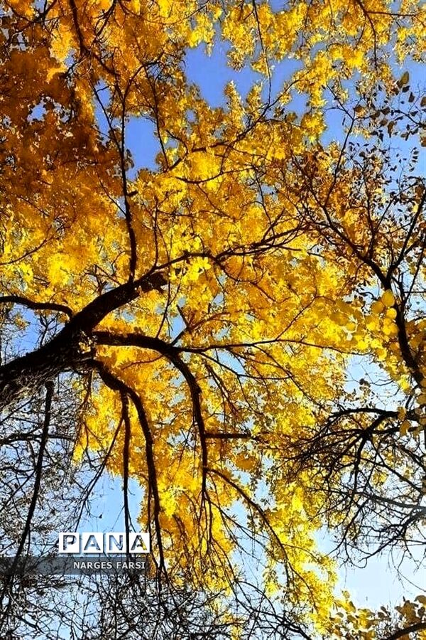 طبیعت پاییزی در روستاهای الگان و کهندان