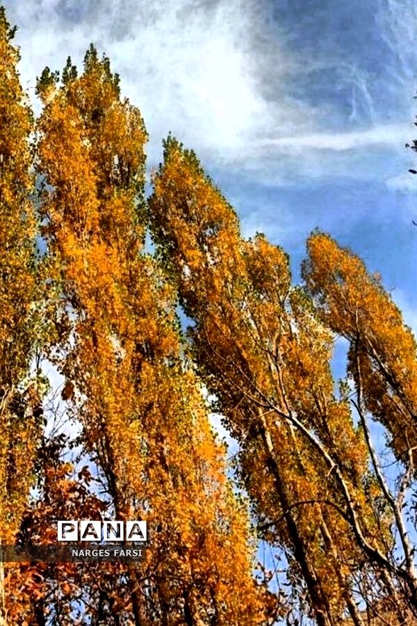 طبیعت پاییزی در روستاهای الگان و کهندان