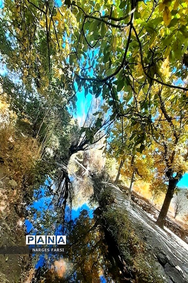 طبیعت پاییزی در روستاهای الگان و کهندان