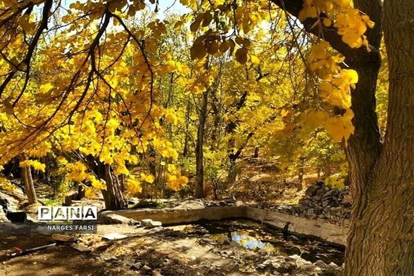 طبیعت پاییزی در روستاهای الگان و کهندان