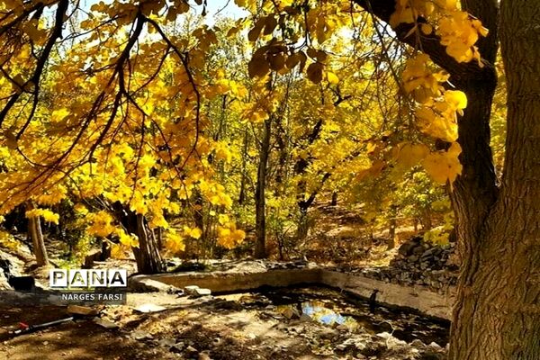 طبیعت پاییزی در روستاهای الگان و کهندان