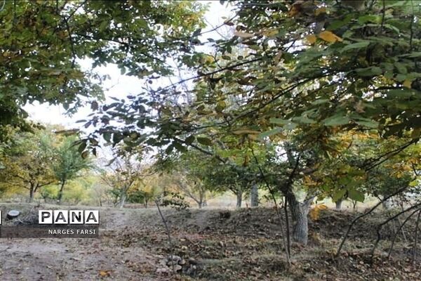 طبیعت پاییزی در روستاهای الگان و کهندان