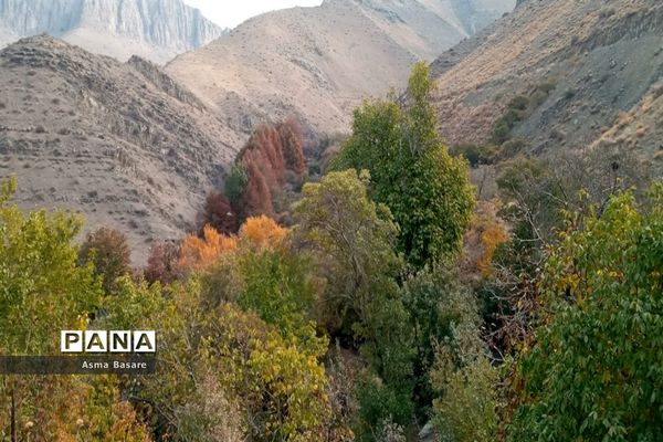 طبیعت طلایی رنگ در همین حوالی