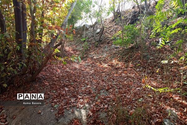 طبیعت طلایی رنگ در همین حوالی