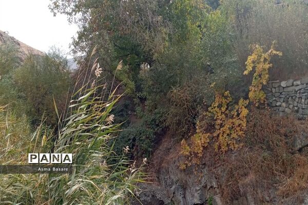 طبیعت طلایی رنگ در همین حوالی