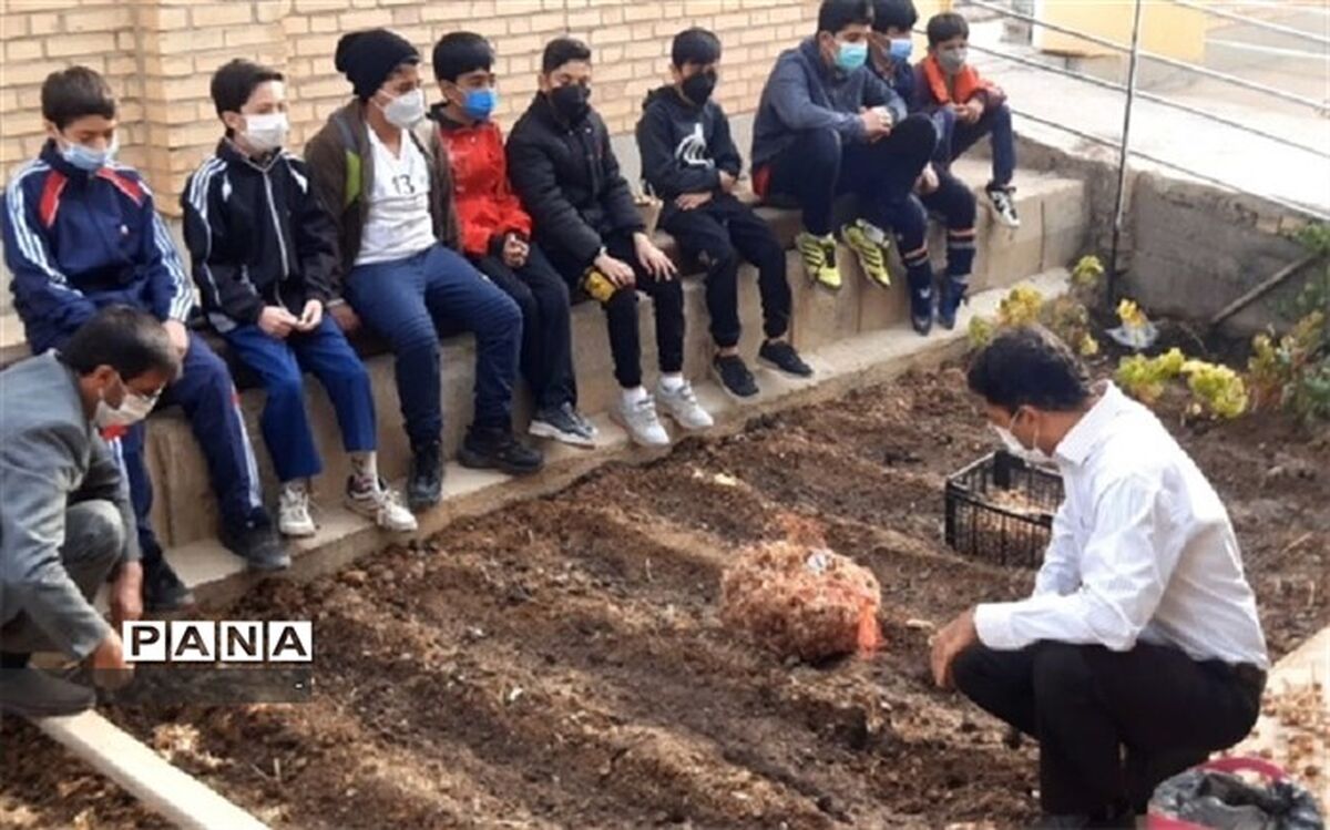 مدرسه‌ای همراه با کشت زعفران