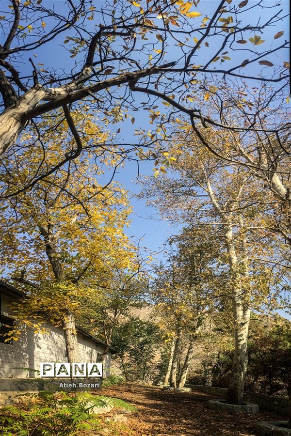 طبیعت پاییزی اردوگاه چمران