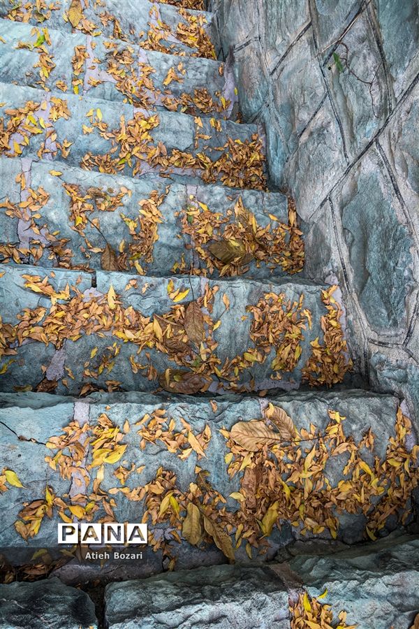 طبیعت پاییزی اردوگاه چمران