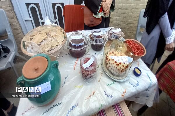افتتاحیه جشنواره انار آونگی کاشمر