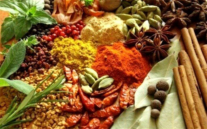 ۱۴ توصیه طب سنتی برای حفظ سلامتی در فصل پاییز