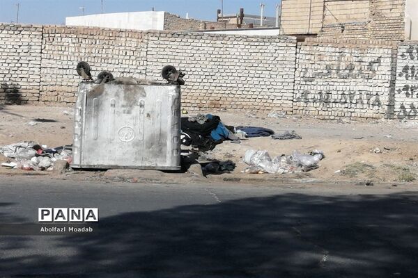 اوضاع صندوق های زباله شهر کاشمر