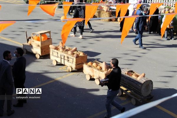 جشنواره بومی و محلی در مازندران